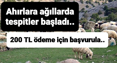 Ahırlar ağıllar kontrol ediliyor destek verilecek
