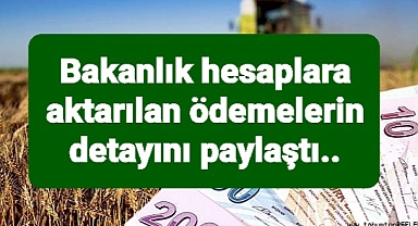 Bakanlık hesaplara aktarılan ödemelerin detayını paylaştı: 5 kalemde