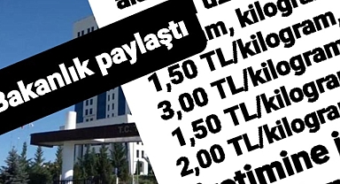 Balikçılık yapanları sevindiren gelişme destekler Resmi Gazete'de