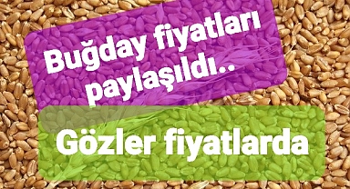 Buğday fiyatları paylaşıldı çiftçiler yakından takip etti..