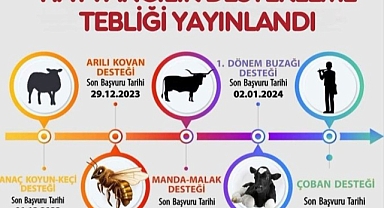 Bütyükbaş ve küçükbaş hayvancılıkta çiftçilere para ödemesi için başvuru takvim yayınlandı
