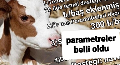 Buzağı desteğinde parametreler yeni tebliğde..
