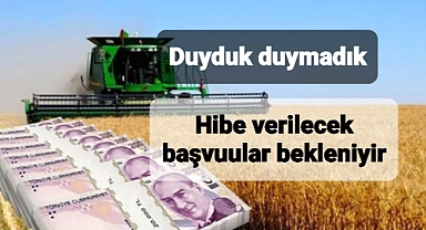 Çifrçilere hibe verilecek başvurular alınmaya başladı