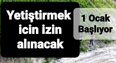Çiftçiler o ürünü Yetiştirmek için izin alacaklar