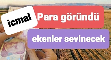 Çiftçiler tarlanıza yem bitkisi ektiyseniz ödeme süreci başlıyor