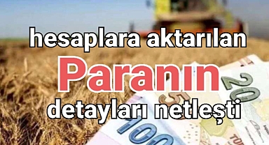 Çiftçiler yeni yıla parayla girecek ödemeler açıklandı