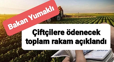 Çiftçilere gelecek yıl verilecek toplam destek rakamı belli oldu