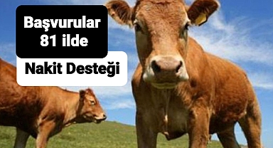Çiftçinin Aldığı hayvanın yarı parası devletten başvurular başladı