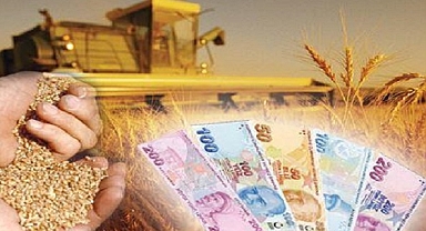 Çiftçiye maliyet desteği hesaplarda
