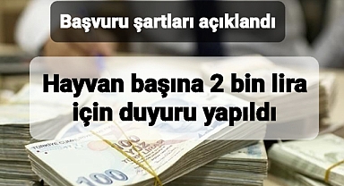 Hayvan başına 2 bin lira için duyuru yapıldı şartlar açıklandı
