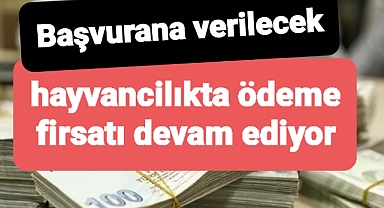 Hayvancılıkta ödeme almak isteenler için firsat devam ediyor