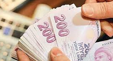 Hububat, Baklagil ve Dane Mısır Fark Ödemesi Desteği başvuruları