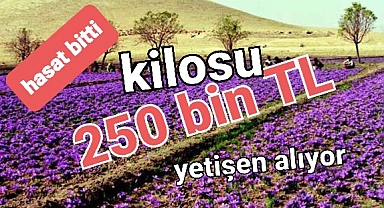 Kilosu 40 bin lira ama yetişen alıyor