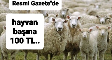 Küçükbaş hayvancılıkta nakit desteği Resmi Gazete'de..