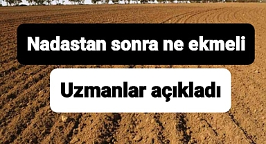 Nadasa bırakılan tarlaya bir sonraki yıl ne ekmeli?
