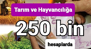 Tarım ve hayvancılığa 250 şer bin lira hesaplara yatırıldı