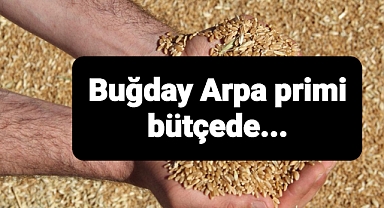 Tarimsal desteklerde en büyük artış buğday ve arpa priminde olacak.