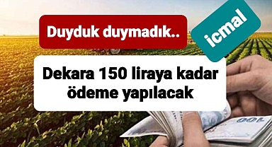 Tarlasında yem bitkisi olanlara dekara 150 liraya kadar ödeme yapılacak