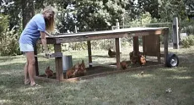Tavuk traktörü nasıl yapılır