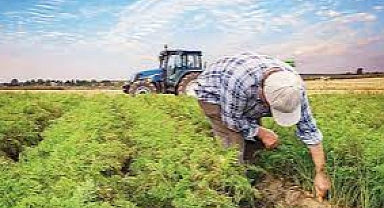 Yatırım yapan çiftçinin parası hesaplara aktarıldı