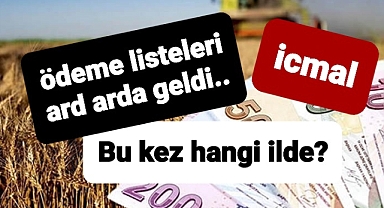 Yem bitkisi ektiler ödeme almayı hakettiler..