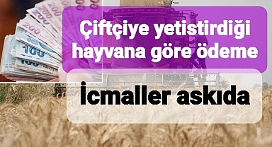 Çiftçinin ahırında bu hayvanlar varsa ödeme var