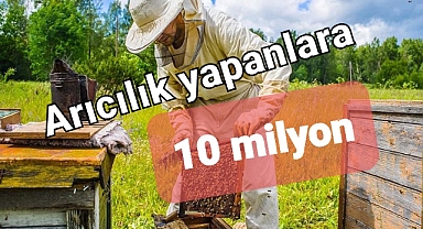 Arıcılık yapanlara hem faiz indirimi hem kredi