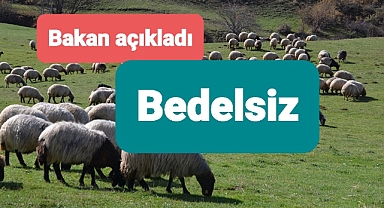 Bakan'dan Bedelsiz hayvan dağıtımı paylaşımı