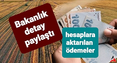 Bakanlık da ödemelerle ilgili bilgi paylaştı