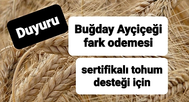 Buğday ve ayçiçeği fark ödemesi ve sertifikalı tohum desteği duyurusu..