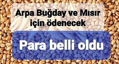 Buğday ve Arpa ve Mısır için Ödenecek rakam belli oldu