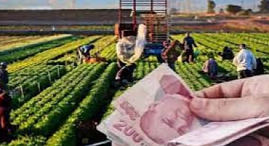 Çiftçilere dekar başına ödeme yapılması için bu başvuruları kaçırmayın