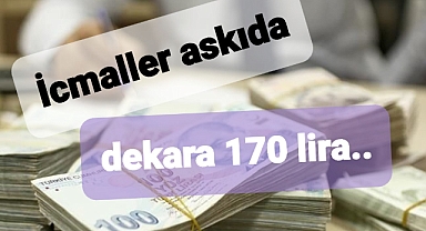 Çiftçilere dekara 170 lira verilecek