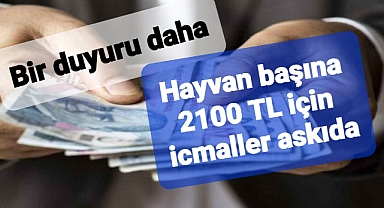Çiftçilere hayvan başına 2 bin 100 lira ödeme yapılacak