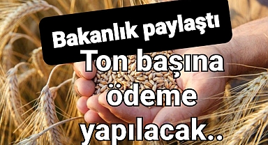 Çiftçilere ton başına ödeme yapılacak