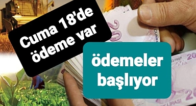 Çiftçilerin beklediği paralar hesaplara yatıyor! Cuma 18.00