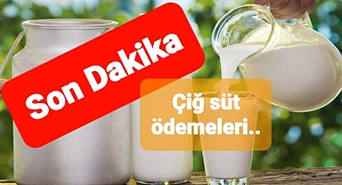 Çiğ süt desteği parası için çiftçilerin beklediği açıklama 