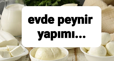 Evde peynir yap ekonomik olsun