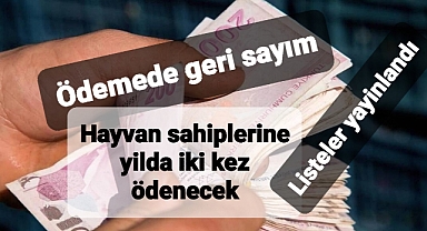 Hayvan sahiplerine yılda iki kez 2 bin 100 TL ödeme