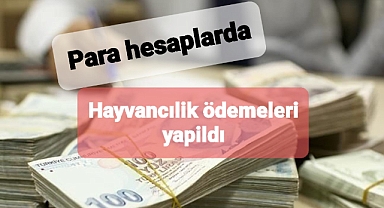 Hemşin Koyunu, Abaza Keçisi, Kaçkar Keçisi, Kafkas Arısı ve Doğu Anadolu Kırmızısı sahiplerine ödeme