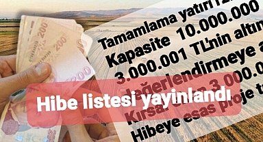 Hibe verilecek alanlar tek tek açıklandı