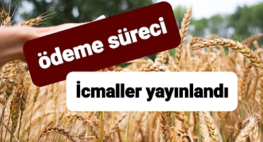 Hububat, baklagil, dane mısır fark ödemesi için düğmeye basıldı