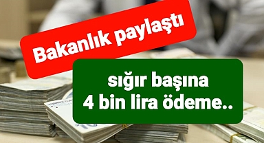 İKİ YERLİ SIĞIR IRKI İÇİN HALK ELİNDE ISLAH PROJESİ BAŞLATILDI