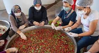 kadın kooperatifleri ve kırsal kalkınma
