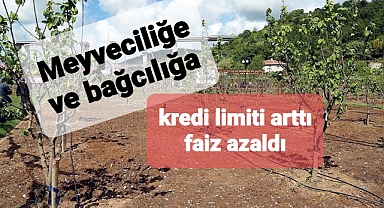 Meyve yetiştiriciliği ve bağcılık için kesenin apzı açıldı.