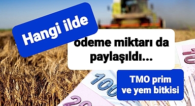 Çiftçilere ne kadar para ödeneceği açıklandı
