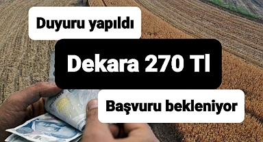 Organik Tarım ve İyi Tarım Uygulamaları Destekleme Başvuruları