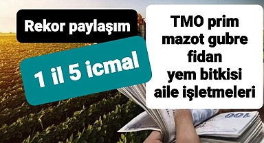 Rekor destek paylaşımı icmaller askıya çıktı