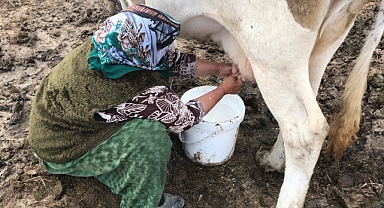 Sağım Rutininizde Saniyeler Önemlidir