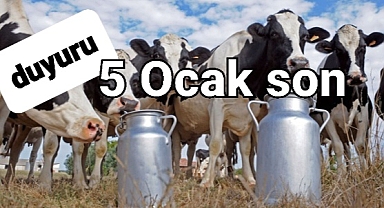 Süt sığırcılığı için duyuru yapıldı